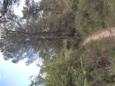 Garrigue de la Clape